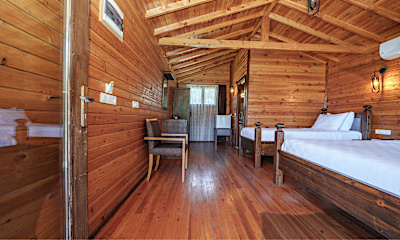 Cedar House